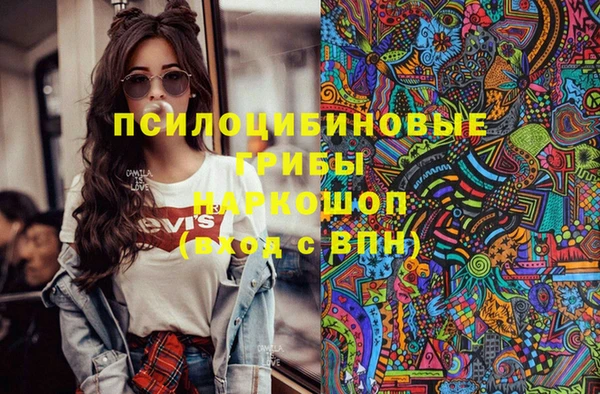 спайс Арсеньев