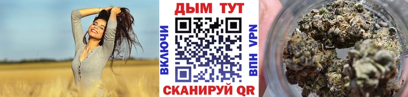 купить наркотики цена  kraken как зайти  Канабис сатива  Урюпинск 